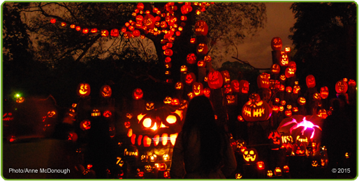 Jack-O-Lantern Spectacular