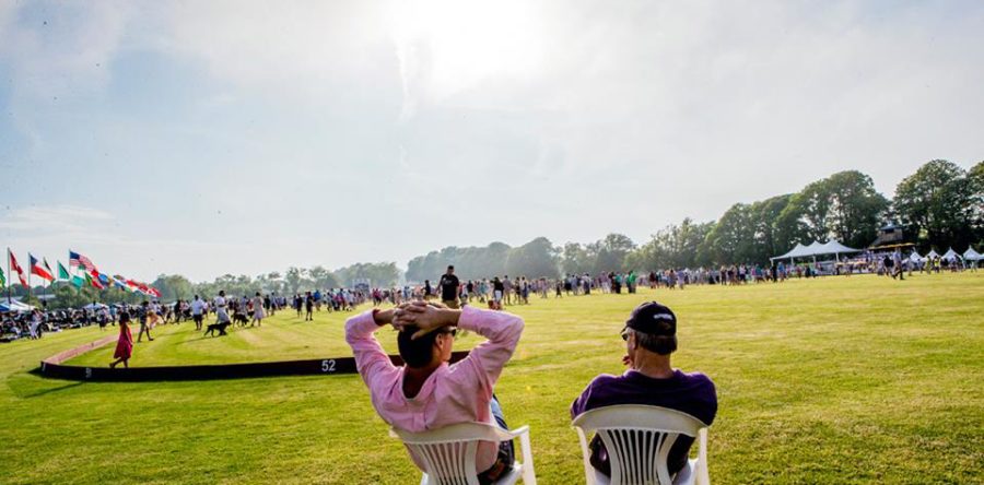 Newport Polo Season has arrived!